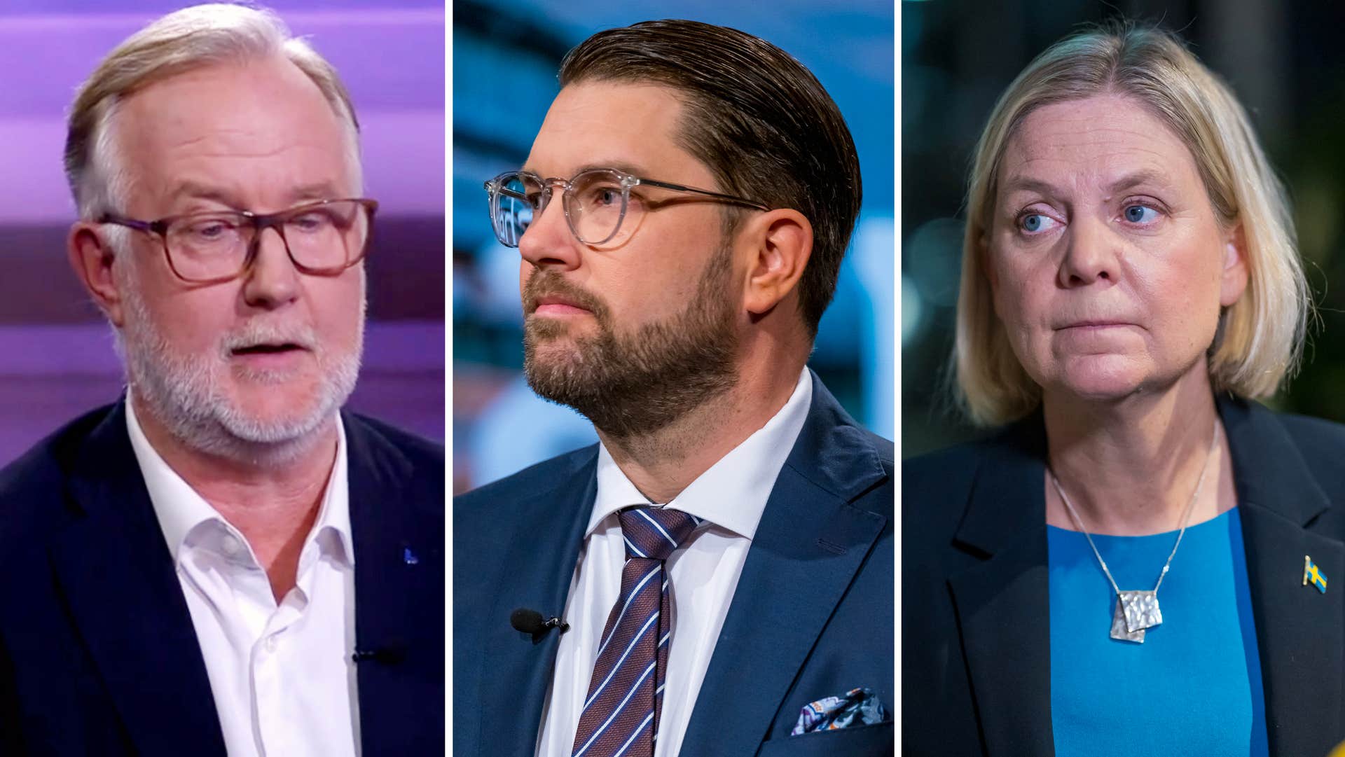 Dubbellöftet: Stödjer inte regering med S eller SD