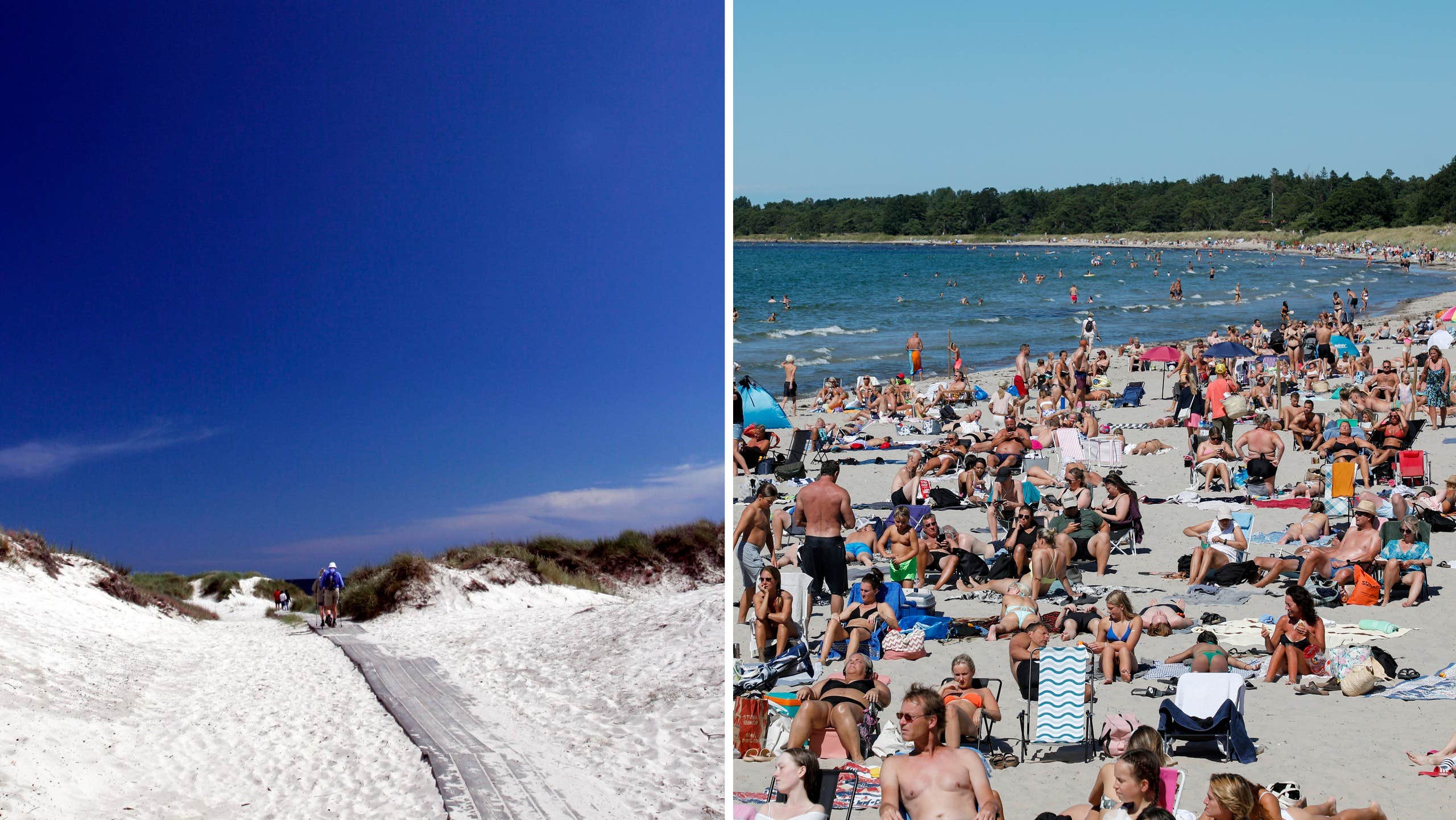Sweden's Best Beaches – According to Great Britain |  Sweden