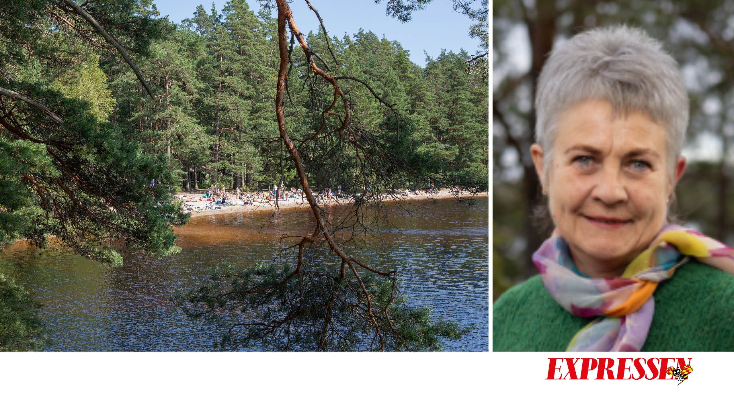 Strandskyddet Hotas: Vår Rätt till Naturupplevelser Står på Spel