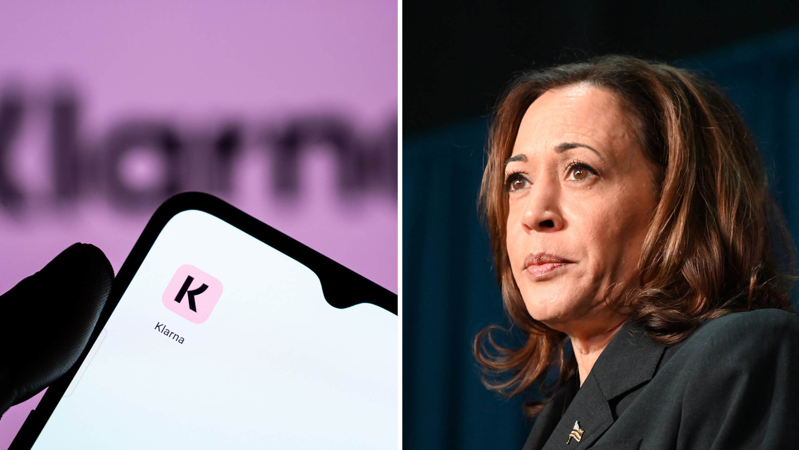 Harris' Flash Call – Conversations with Democratic Donors | World