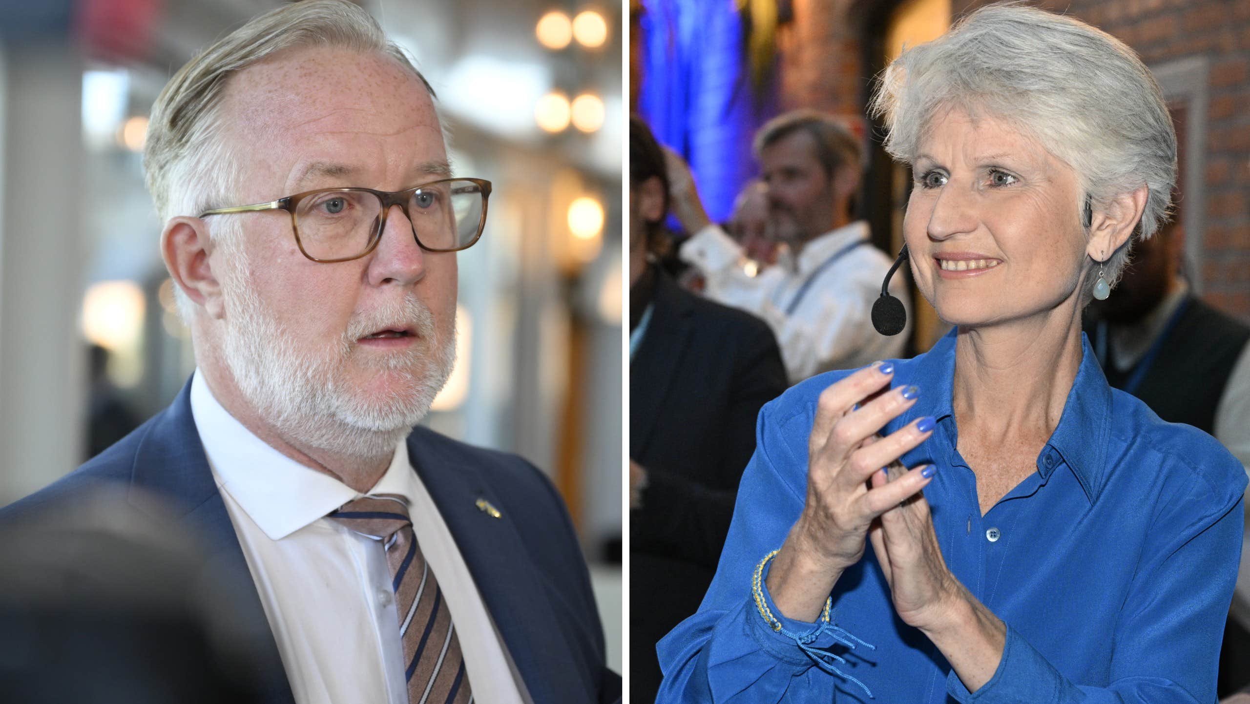 Corazza Bildt hoppas på nytt uppdrag för Liberalerna