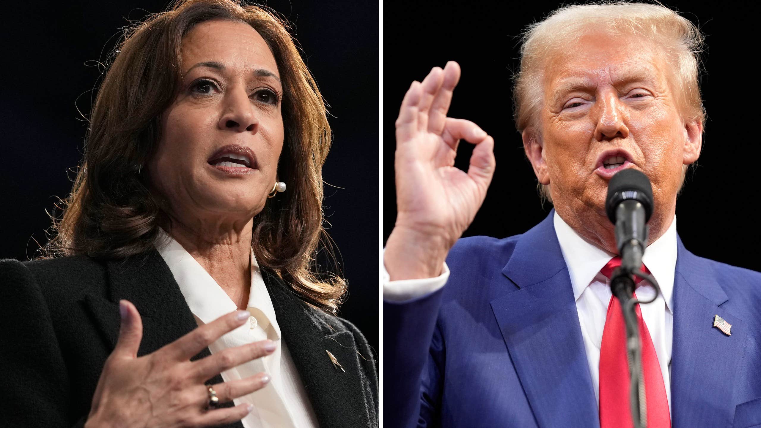 “All signs of momentum for Kamala Harris have stopped” | the world