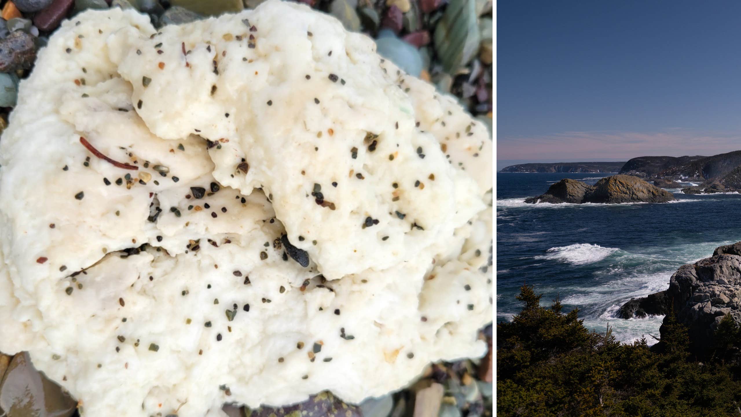 Grumi misteriosi sulle spiagge di Terranova sconcertano | il mondo